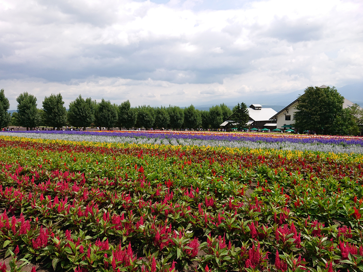 f:id:magic-gpen:20190728233440j:plain