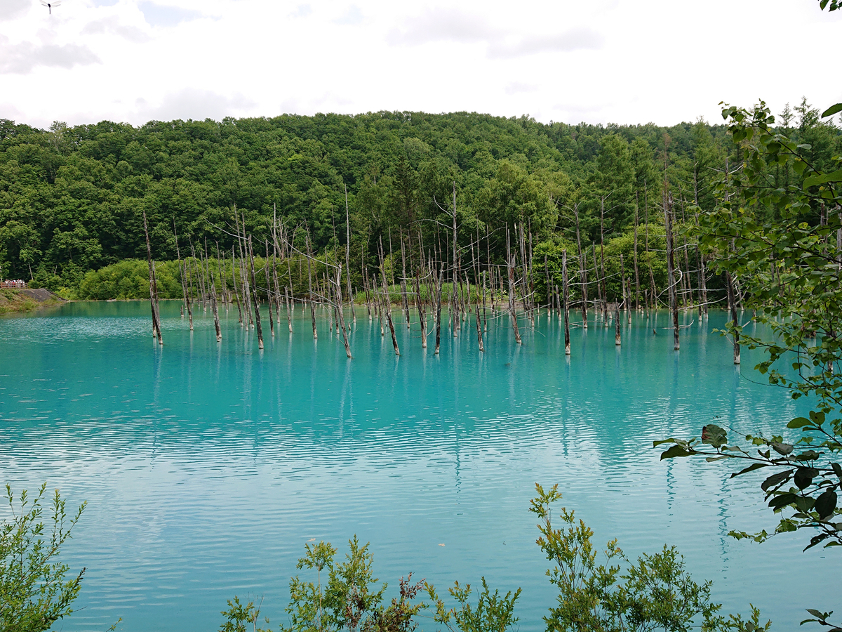 f:id:magic-gpen:20190728233456j:plain