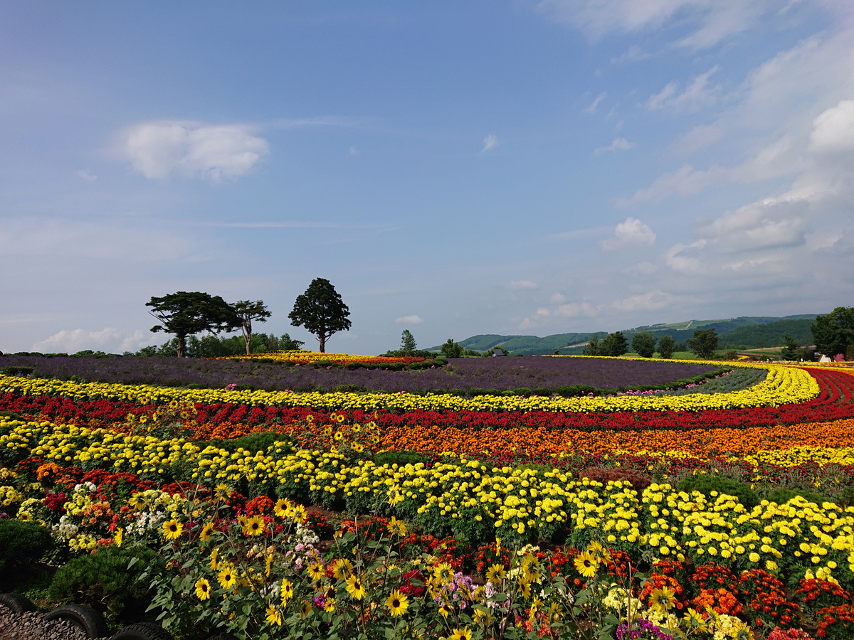 f:id:magic-gpen:20190728235105j:plain