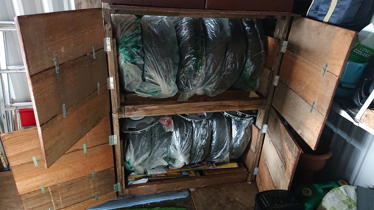 f:id:magic-gpen:20201209224939j:plain