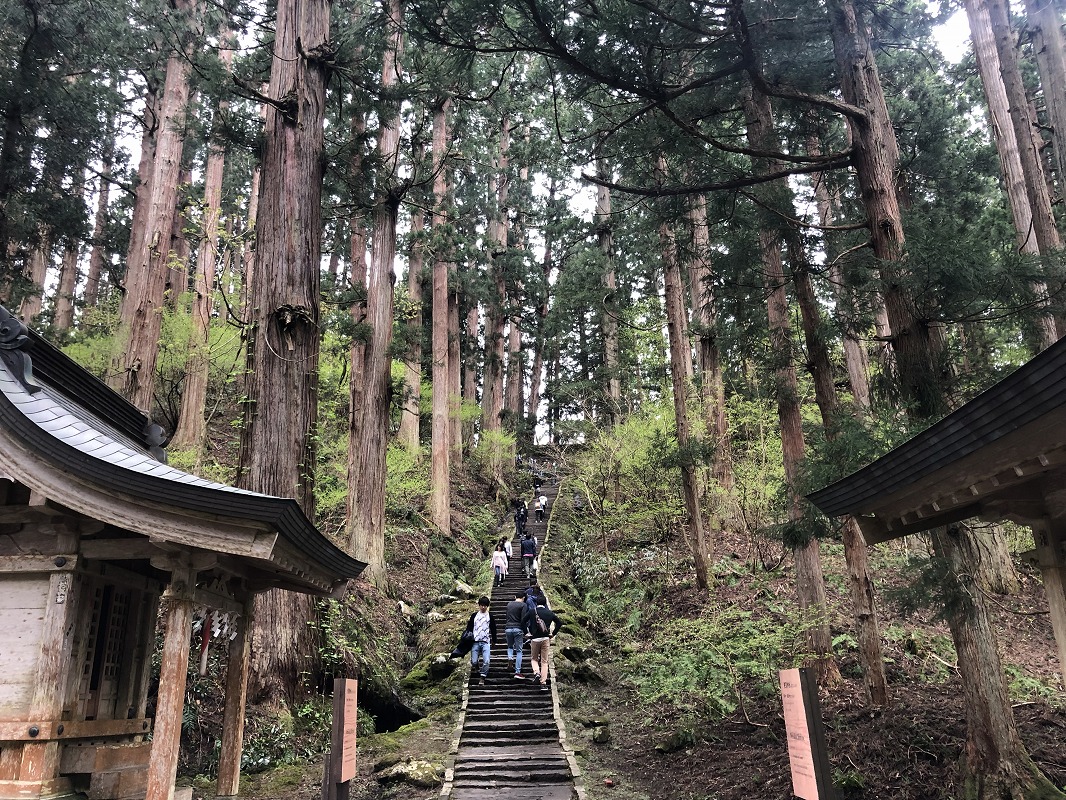 f:id:magic_0147:20190502212043j:plain
