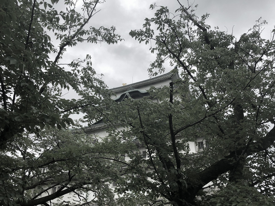 f:id:magic_0147:20190722190754j:plain