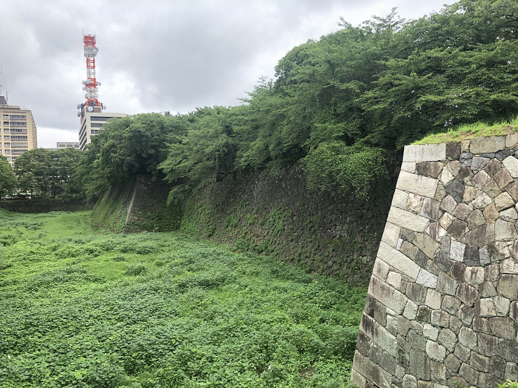 f:id:magic_0147:20190722191629j:plain