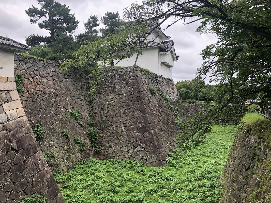 f:id:magic_0147:20190722192359j:plain