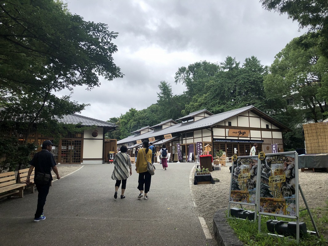 f:id:magic_0147:20190722203658j:plain