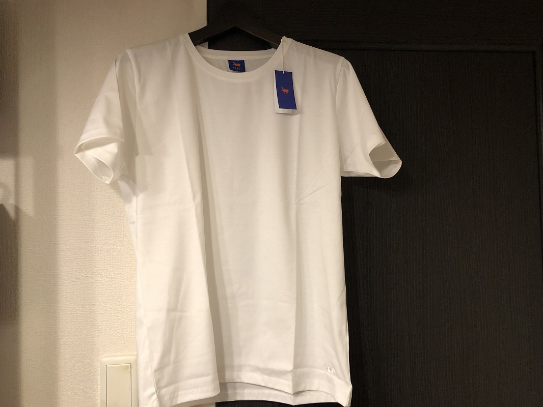 f:id:magic_0147:20190726224318j:plain