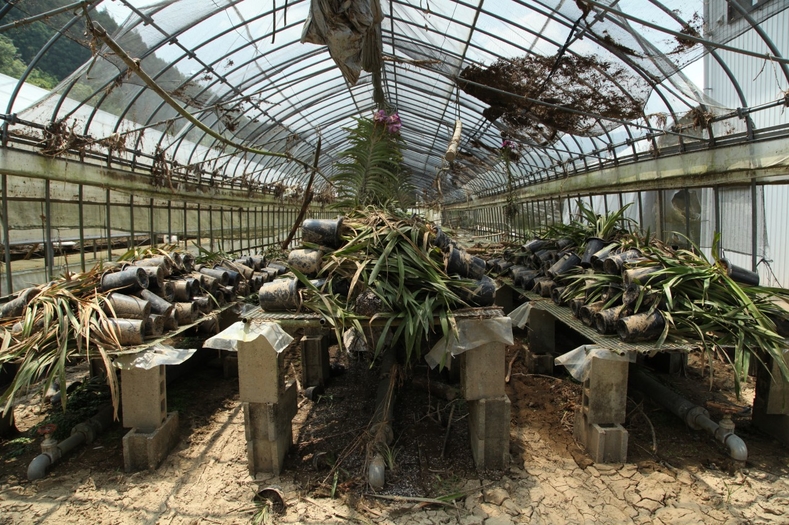 f:id:magicaldreamer:20181002010800j:plain