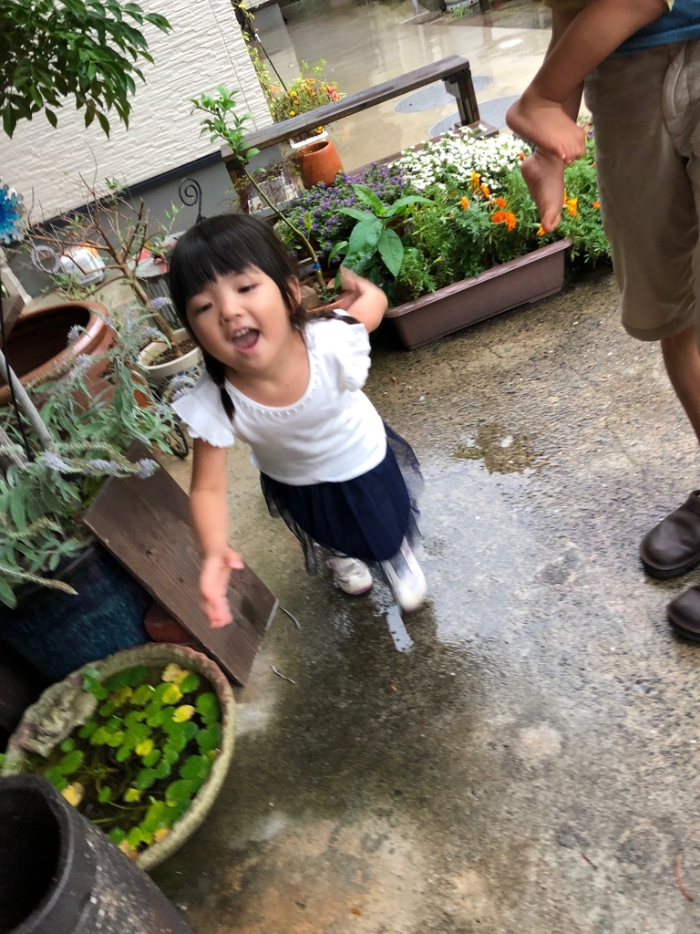 f:id:magicaldreamer:20181123122325j:plain