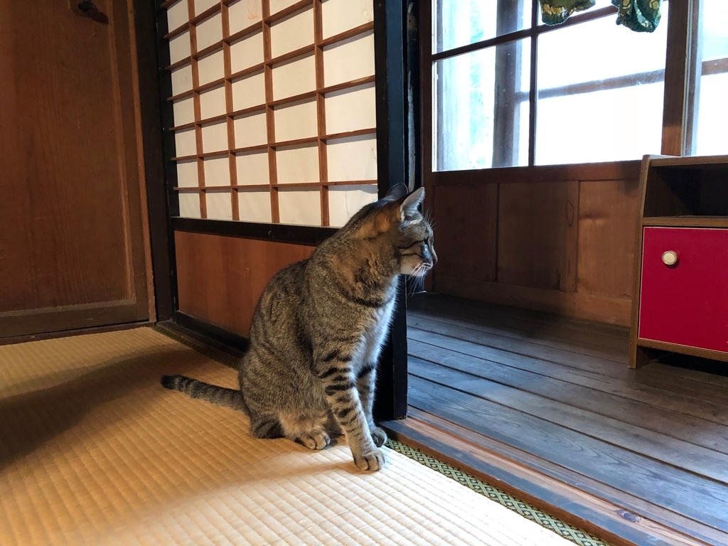 f:id:magicaldreamer:20181123122601j:plain