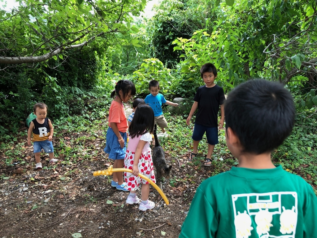 f:id:magicaldreamer:20181123130858j:plain