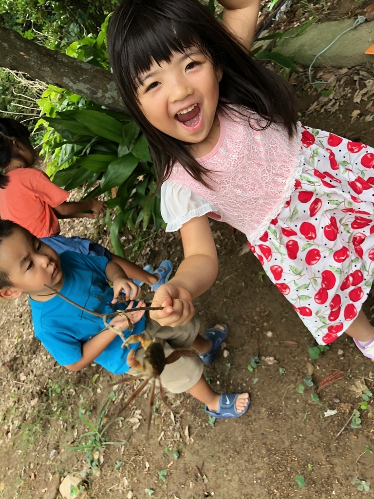 f:id:magicaldreamer:20181123130903j:plain