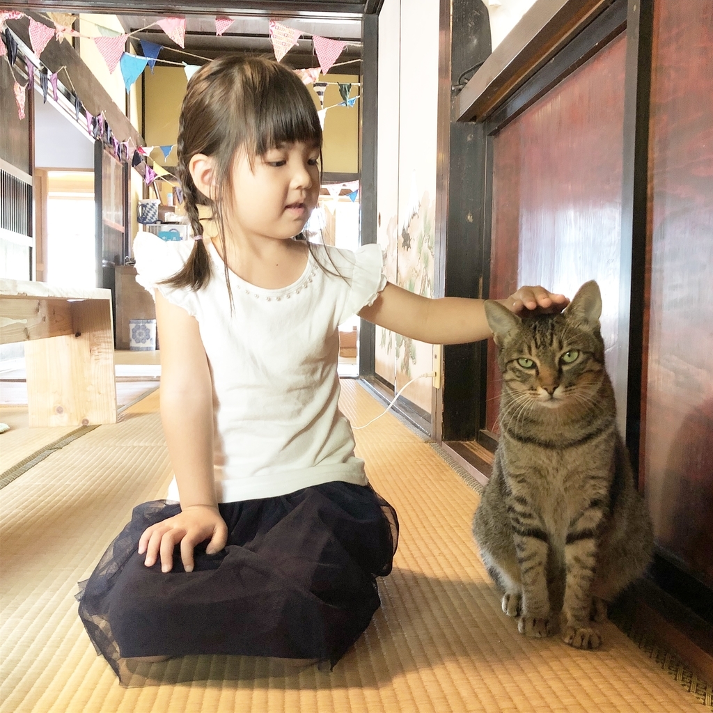 f:id:magicaldreamer:20181126163210j:plain