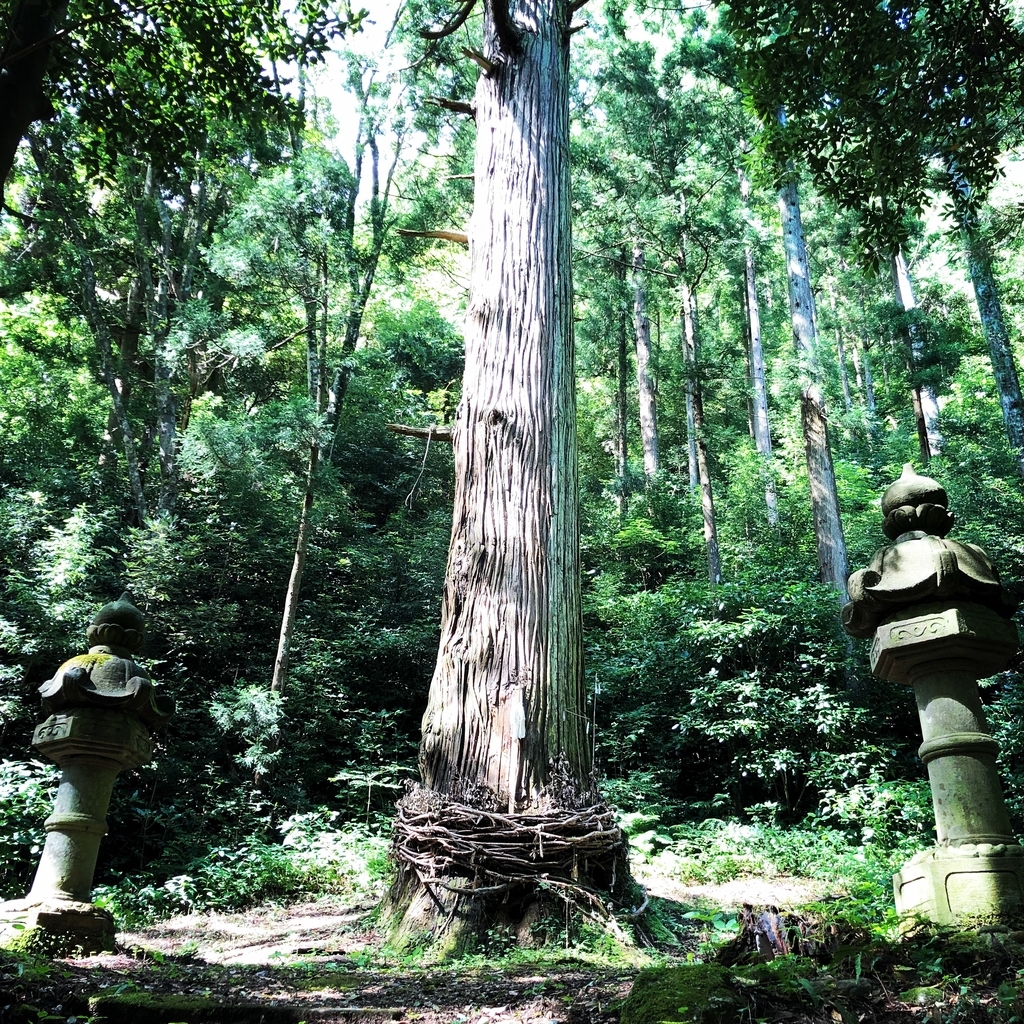 f:id:magicaldreamer:20181126163232j:plain