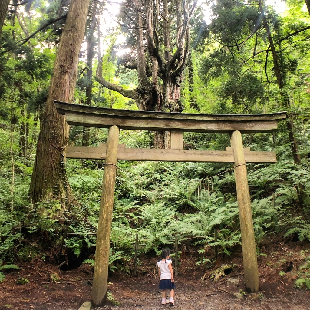 f:id:magicaldreamer:20181126163339j:plain