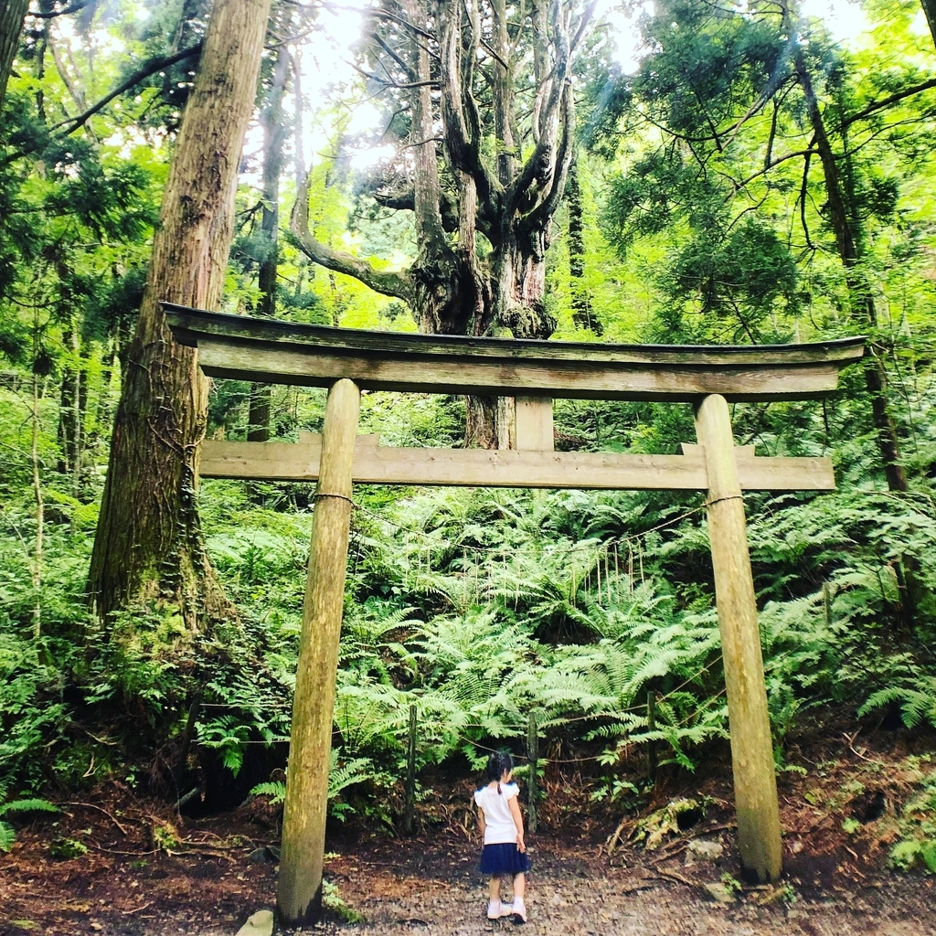 f:id:magicaldreamer:20181126163407j:plain