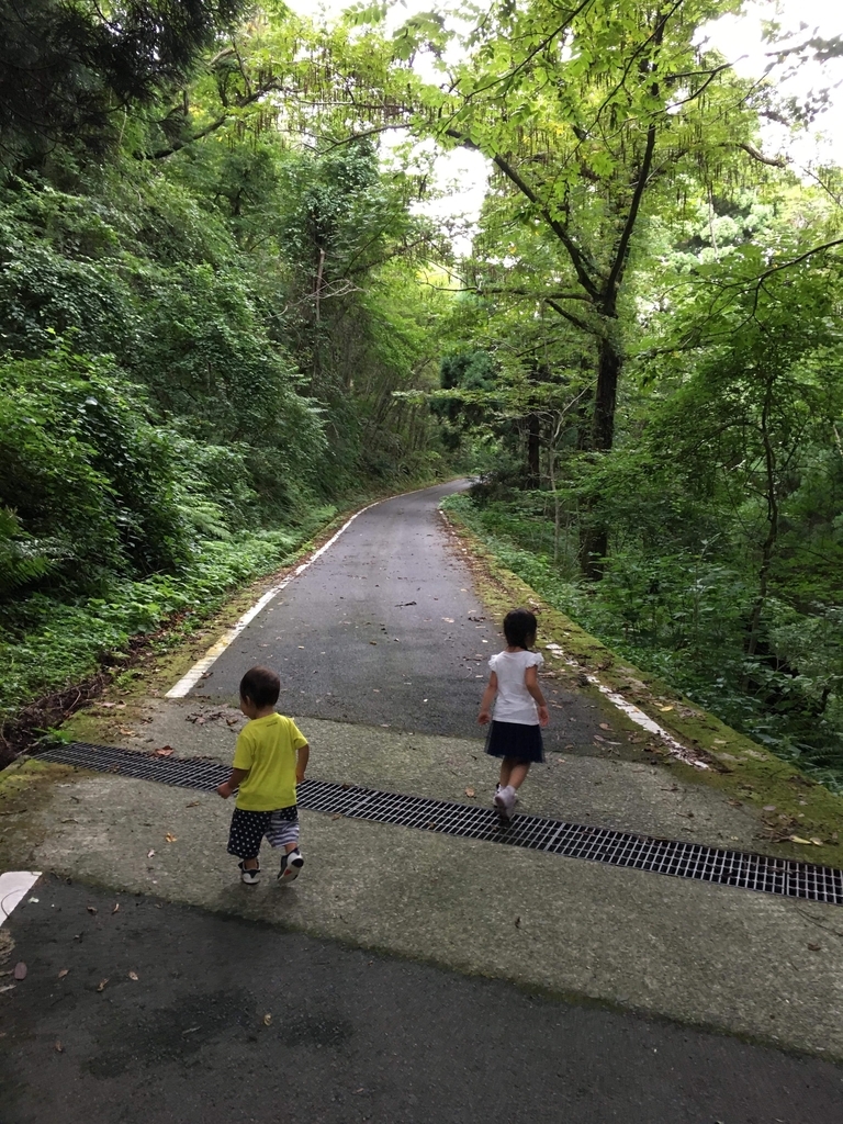 f:id:magicaldreamer:20181126165610j:plain