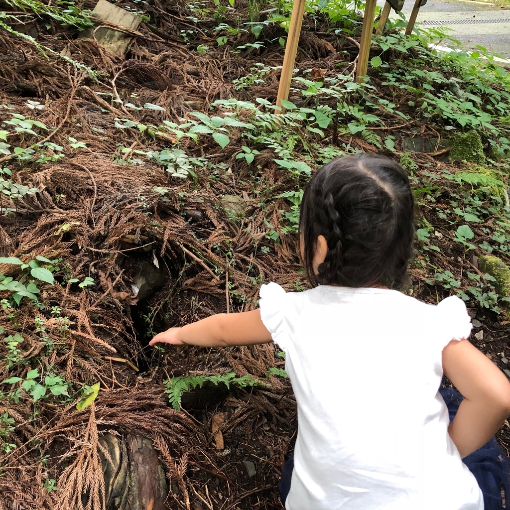 f:id:magicaldreamer:20181126170027j:plain