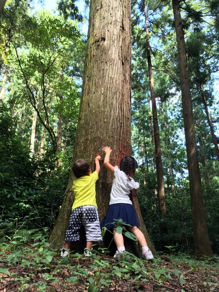 f:id:magicaldreamer:20181126202058j:plain