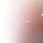 f:id:magicbookrec:20100423192158j:image f:id:magicbookrec:20100423192158j:image