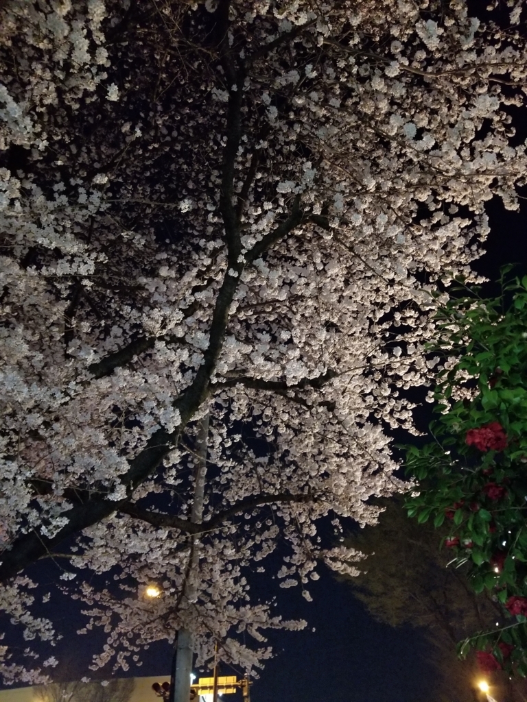 f:id:magicrin23:20180327185506j:plain f:id:magicrin23:20180327185506j:plain