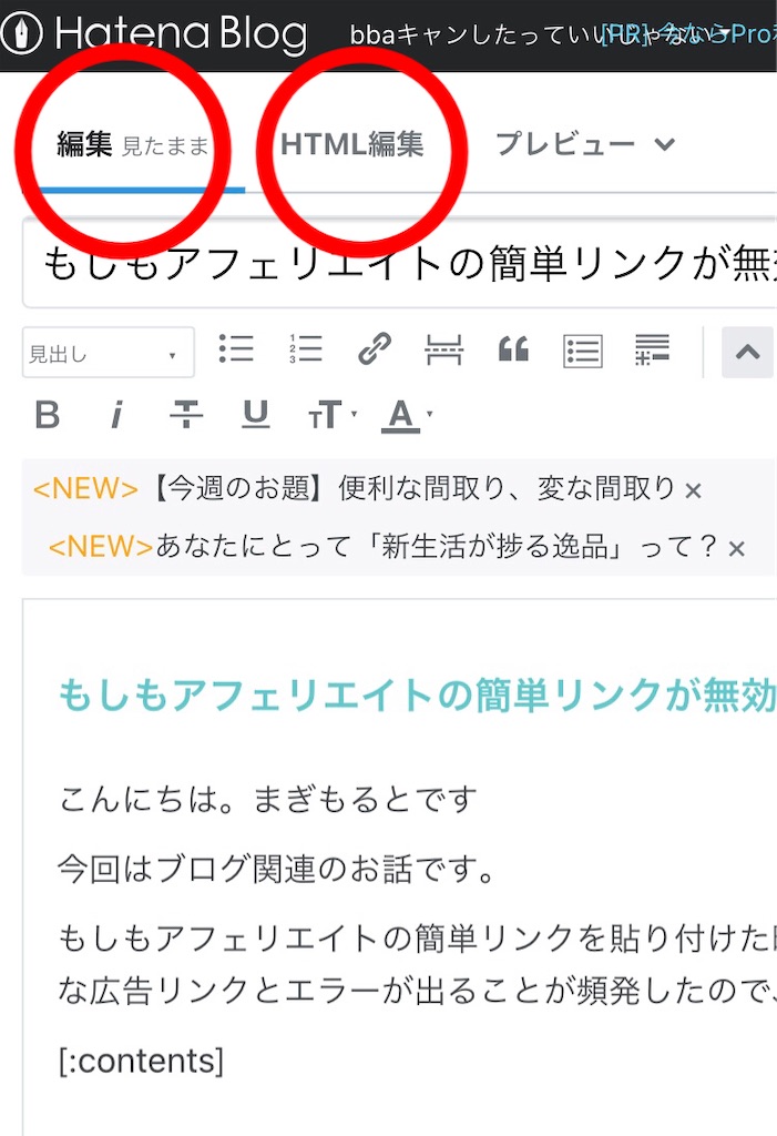 f:id:magimoruto:20210423141548j:image