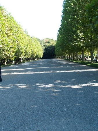 f:id:magma890:20061009143246j:image