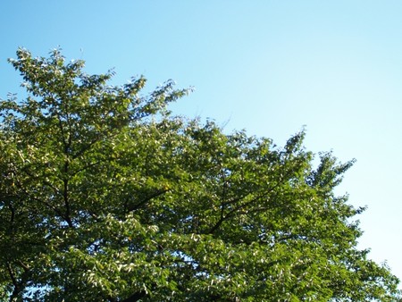 f:id:magma890:20061009150237j:image