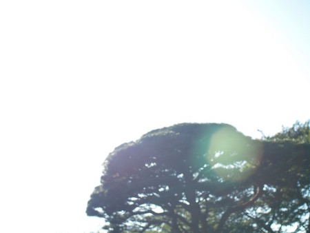 f:id:magma890:20061009150324j:image
