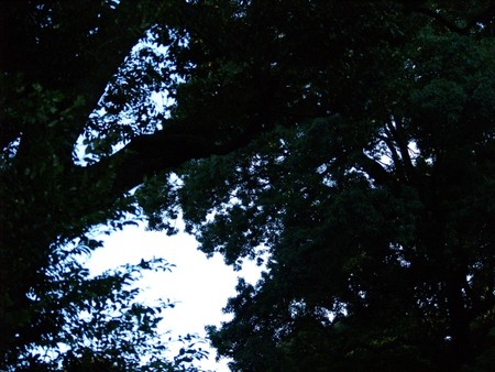 f:id:magma890:20061009153011j:image