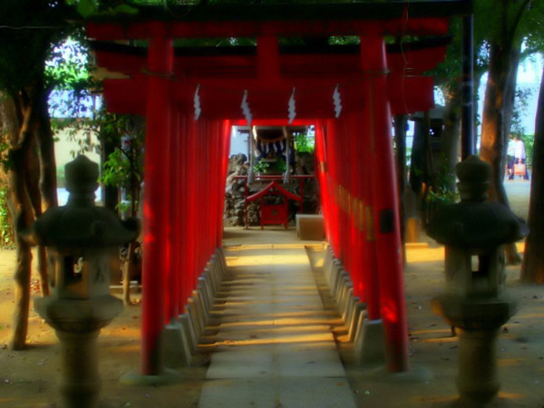 f:id:magma890:20061012234152j:image