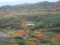 大雪山の紅葉,裾合分岐近辺(北海道上川郡東川町)