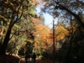 春日山遊歩道(奈良県奈良市)