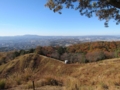 木津川山林部の紅葉,若草山より(京都府木津川市)