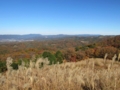 木津川山林部の紅葉,若草山より(京都府木津川市)