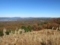 木津川山林部の紅葉,若草山より(京都府木津川市)