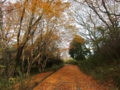 生駒縦走コースの紅葉(大阪府＆奈良県)