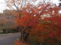 生駒山のベッピンさん(大阪府＆奈良県,生駒山鳴川峠)