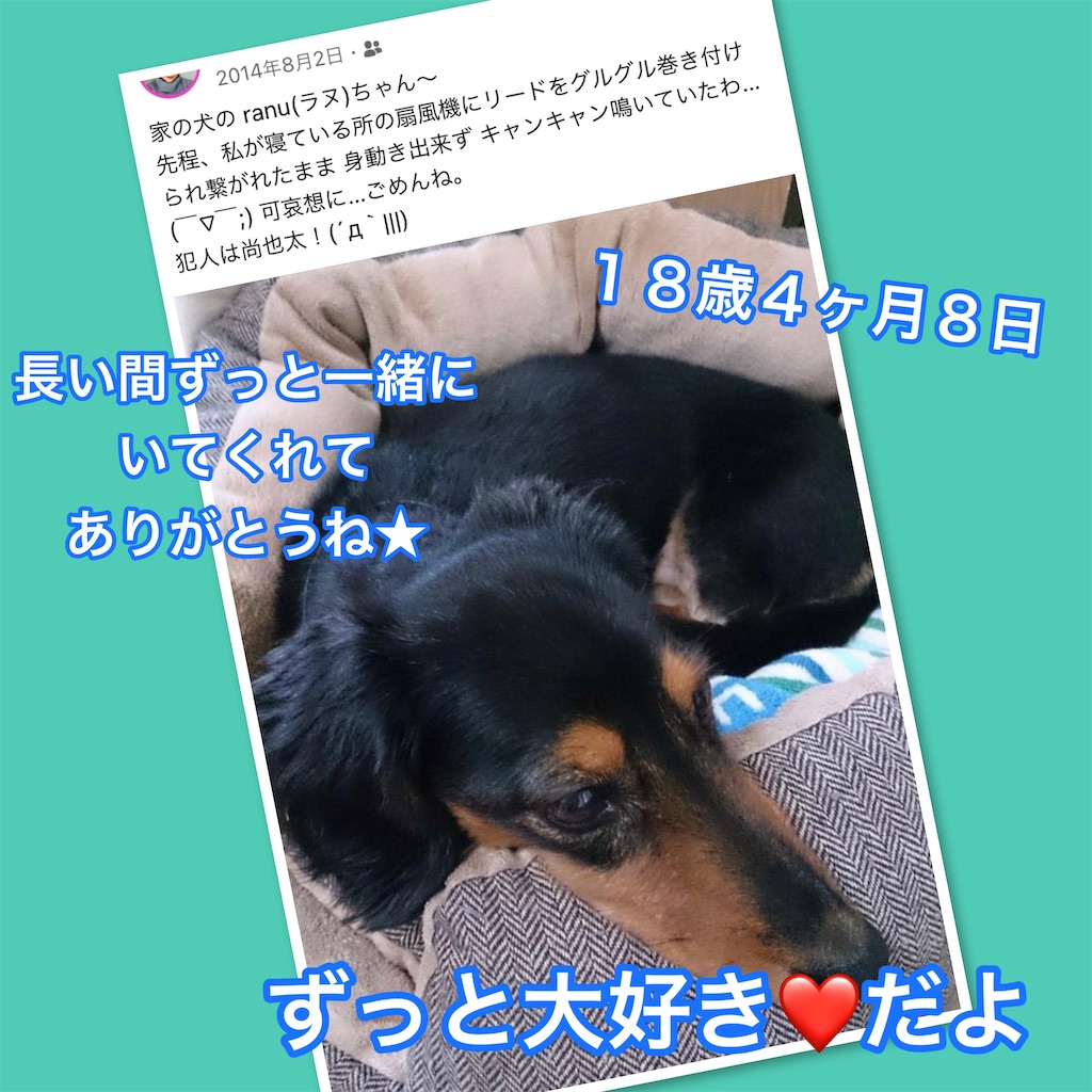 f:id:mago3-musume2:20211201100120j:image f:id:mago3-musume2:20211201100120j:image