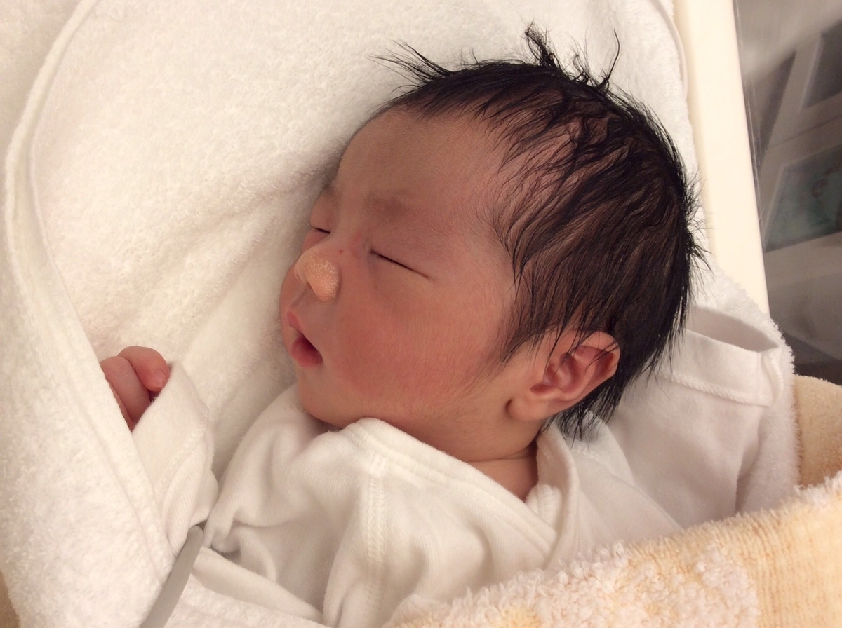 f:id:magobe1217:20190320201231j:plain
