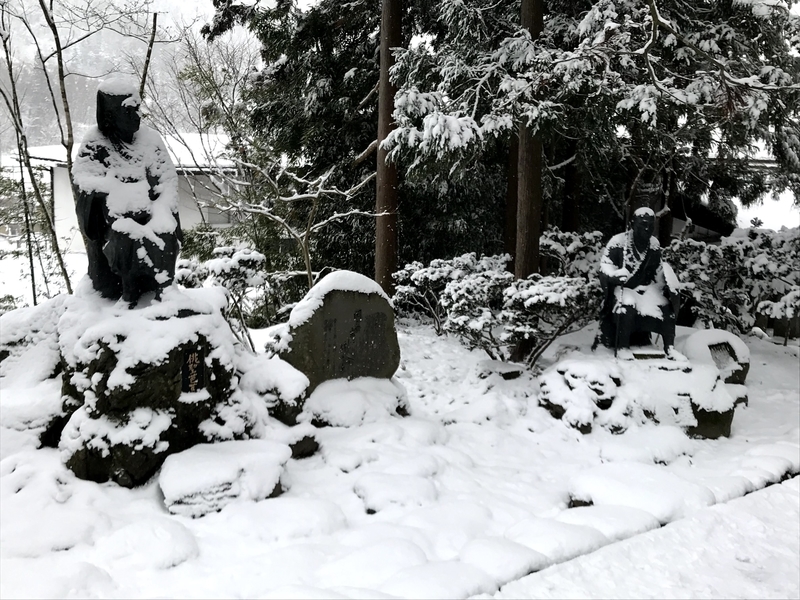 f:id:magoiku:20201213145146j:plain
