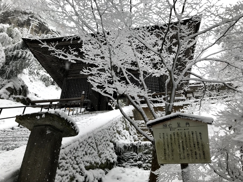 f:id:magoiku:20201227163423j:plain