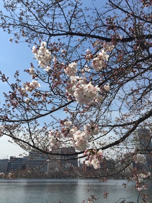 f:id:magoiku:20210227222937j:plain