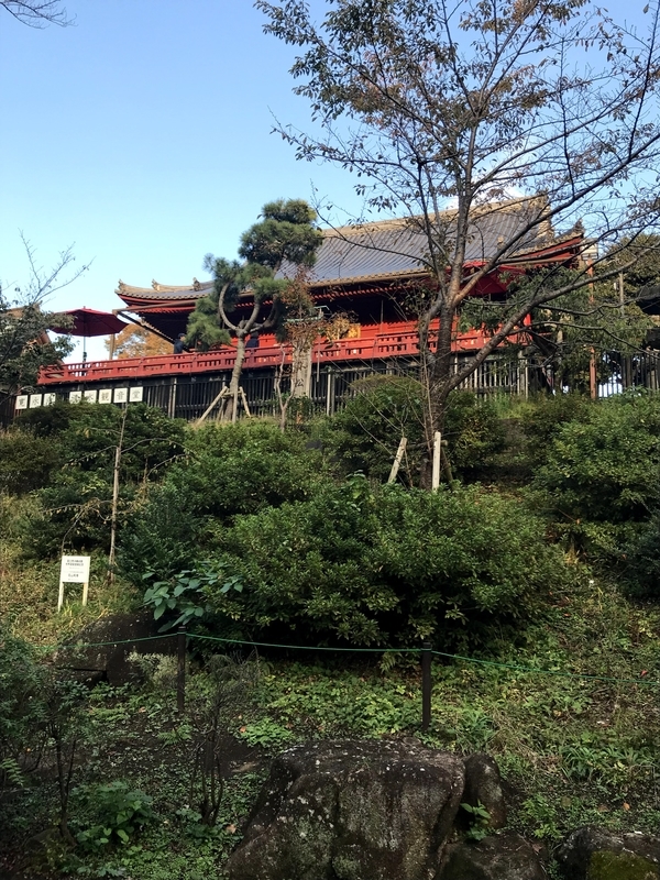 f:id:magoiku:20210227224156j:plain