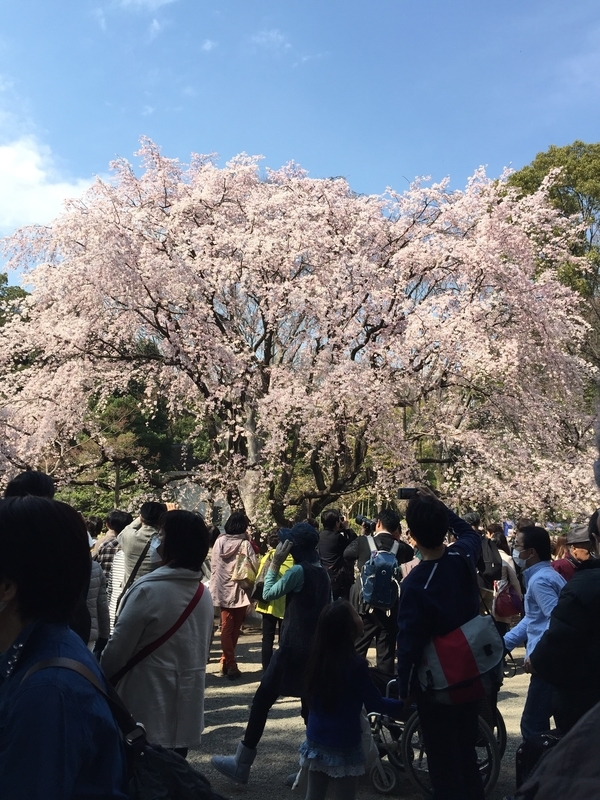 f:id:magoiku:20210411123552j:plain