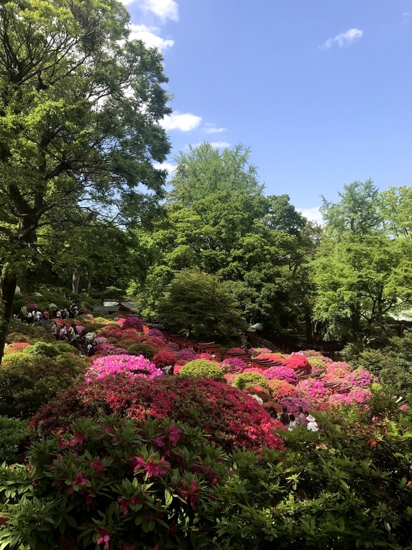f:id:magoiku:20210423222618j:plain