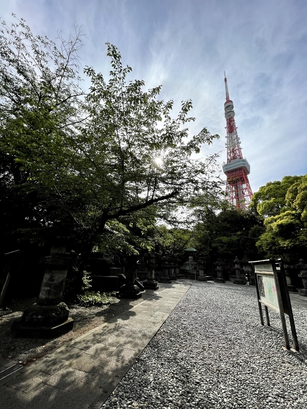 f:id:magoiku:20210425103125j:plain