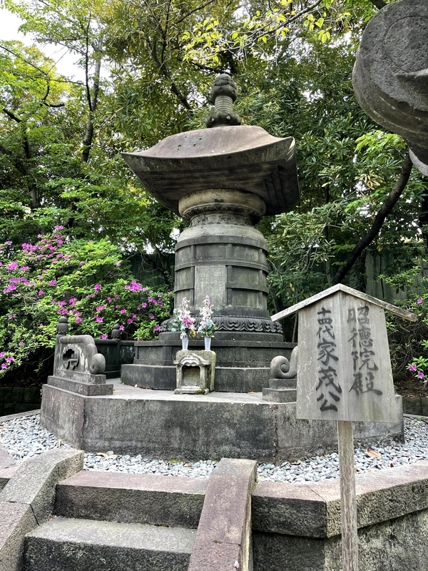 f:id:magoiku:20210425103510j:plain
