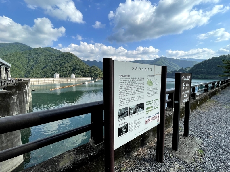 f:id:magoiku:20210801090553j:plain