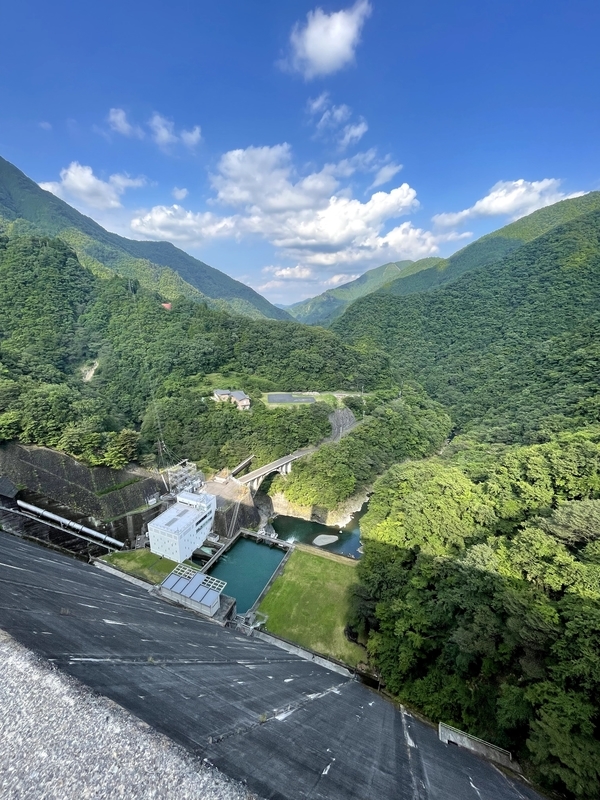 f:id:magoiku:20210801090910j:plain