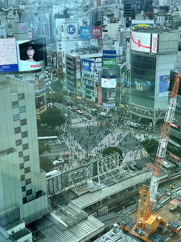 f:id:magoiku:20211029224311j:plain